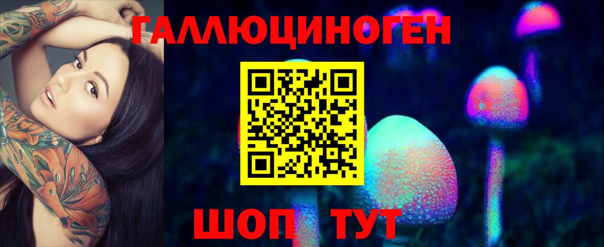 Нефтекамск  Галлюциногенные грибы Psilocybine cubensis  Вход с VPN 